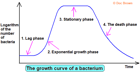 Cell Replication Graph GCSE biology mathematics of cell division number crunching replication ...